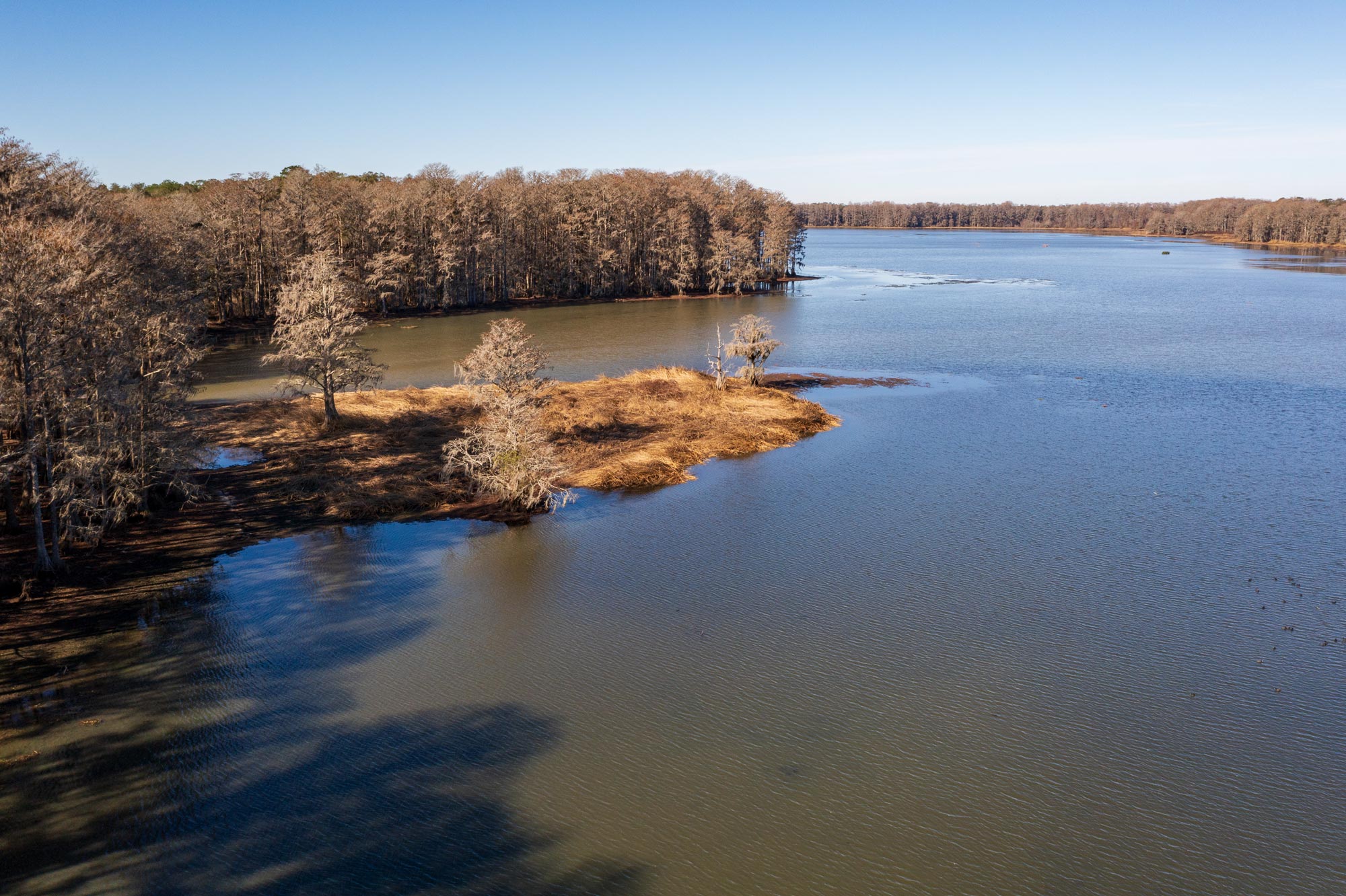 A creek flowing into Lake Munson surrounded by trees